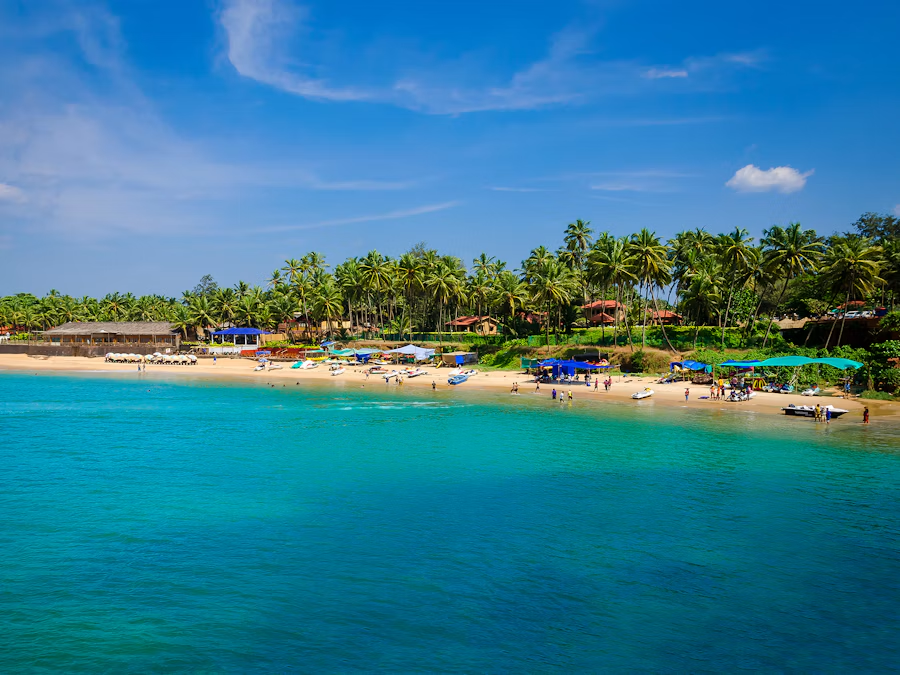 Tropical coastline in Goa